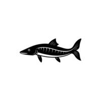 Sturgeon fish icon illustration on white background vector