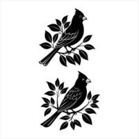 Cardinal On A Branch Vectors