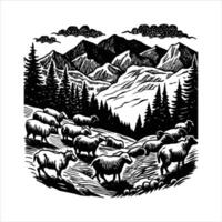 A Herd of Bighorn Sheep vector