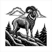 Bighorn sheep Habitat, vector