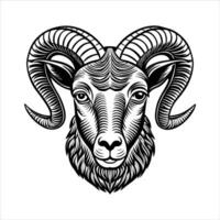 Minimal Line Art Bighorn Sheep vector