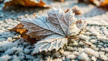 A maple leaf covered in frost on the ground photo
