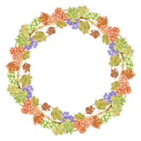 Watercolor grapevine wreath with blue and green berries. Round frame of berries and leaves. Autumn design for rustic wedding decoration. Label for red wine, juice. Clipart for restaurant menu. png