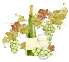 On the table lies a watercolor branch with white grapes, and next to it a glass of white wine and a bottle of green glass. Illustration of green berries. Clipart for tasting, menu, wine list. png