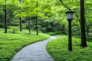 Winding stone pathway through a tranquil forest with tall trees and soft sunlight filtering through foliage photo