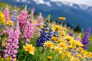 Vibrant wildflower field in soft pastels under warm sunlight creates a serene landscape photo