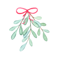 Watercolor mistletoe branch with pink ribbon isolated png