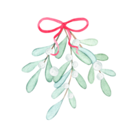 watercolor white mistletoe branch with red ribbon and white berries isolated png