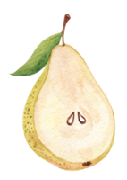 Watercolor half pear with seeds isolated png