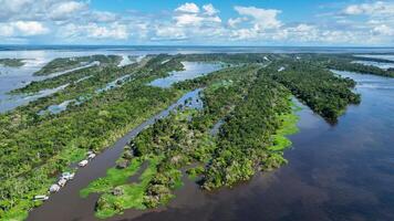High Angle of Amazonian Forest in Manaus Amazonas Brazil. photo