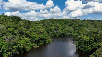 Above Amazonian River in Manaus Amazonas in Brazil.. Trees Affluent. photo