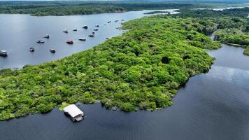 Awesome Amazonian Rainforest in Manaus Amazonas Brazil. Forest Rainforest. photo