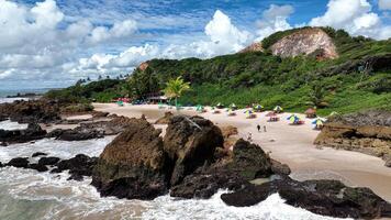 Outside Tabatinga Beach at Conde in Paraiba Brazil. Background Coconut Trees. photo