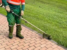 Gardener using trimmer to maintain lawn edge near brick pathway photo