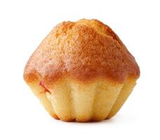 Moist buttery cupcake with a golden brown top, perfect for special occasions, served on a white background photo