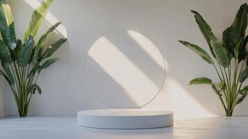 Minimalist white cylinder podium with tropical plants and circle decoration illuminated by sunlight, creating a serene backdrop for product showcasing photo