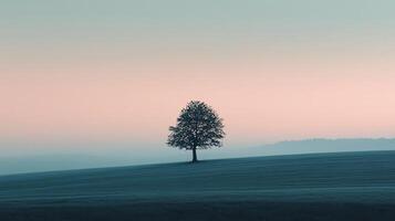 Minimalist landscape with a lonely tree growing on a gentle hill at sunrise, creating a serene and peaceful atmosphere photo