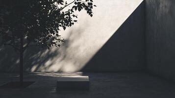 Sunlight illuminating empty white podium in concrete showroom with small tree casting shadow on the wall photo