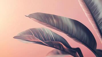 Tropical leaves are overlapping, creating a relaxing and peaceful atmosphere with pastel colors photo