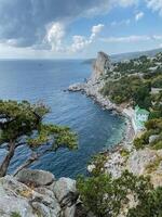The breathtaking view of the vast ocean stretched out from the vantage point of a tall cliff, with a solitary tree standing majestically in the foreground, adding to the scenes beauty photo