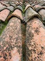 This captivating image features a closeup of intricately crafted brown roof tiles, showcasing their unique textures and patterns that contribute to a delightful rustic charm photo
