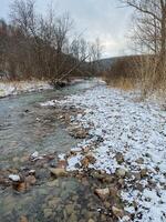 A picturesque river gracefully flows through a tranquil snowy forest, surrounded by tall trees, on a cloudy winter day filled with soft light and the peaceful sounds of nature photo