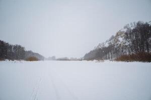 A picturesque snowy field stretches out, adorned with trees standing tall in the background, all beneath a soft, white sky that enhances the winter atmosphere beautifully photo