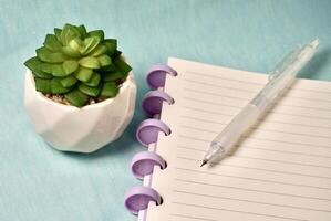 Note book with white lined paper, mechanical pencil, and potted plastic cactus plant display isolated on horizontal light blue background. Study, learn, and work themed photo. photo