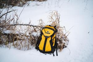In a stunning winter landscape, a bright yellow backpack lies nestled in the fluffy white snow beside a bush, which forms a striking and beautiful contrast of vibrant colors photo