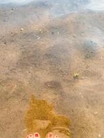 The image captures a serene reflection of a persons bare feet mirrored in the tranquil water, evoking memories of summer days spent on the sandy beach during a joyful vacation photo