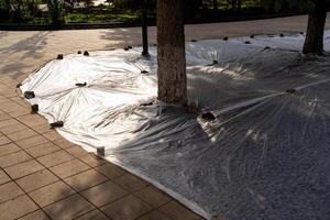 In a local park, a plastic tarp is carefully draped over a tree, likely to protect it from the elements or ongoing construction work in the area, ensuring its preservation and safety photo