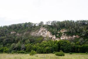 There is a gentle hill adorned with lush green trees standing tall upon it, while in the foreground, a beautiful field stretches out, creating a picturesque rural landscape photo
