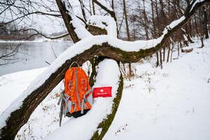 A vibrant and colorful backpack is suspended from a sturdy and strong tree branch, creating a striking contrast against the pristine, untouched snow blanketing the tranquil winter landscape photo