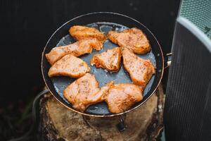 Experience the joy of grilling some truly delicious marinated chicken breasts right on a portable grill during your next outdoor adventure photo