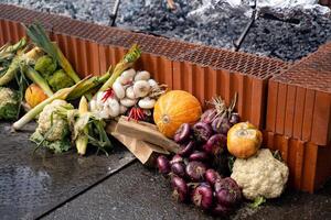 A colorful array of fresh fruits and vegetables is scattered on the ground, showcasing their vitality and freshness, awaiting to be picked for delicious meals that delight everyone photo