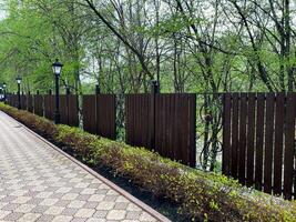 Immerse yourself in the serene ambiance of a peaceful path lined with trees and a fence during the spring season photo