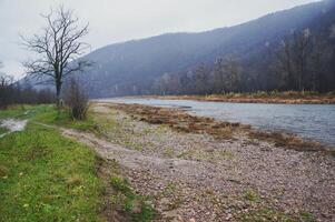 A path through grassland leads to a river with mountains, tree in foreground photo