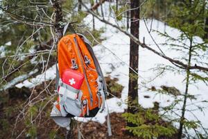 A backpack with a first aid kit hangs from a tree in a natural landscape photo