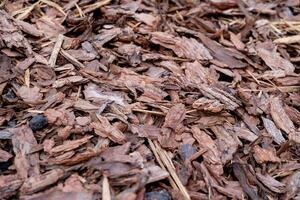 On the ground, there is a significant pile of wood chips resting, gathering in a somewhat haphazard fashion, which might have come from a nearby tree or some branches being cut photo