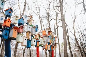 Colorful bird houses dangle from trees, adding fun to the city skyline photo