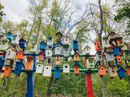 A vibrant collection of uniquely designed and colorful bird houses is hanging beautifully from the branches of the trees, creating a charming and lively atmosphere in the surrounding area photo