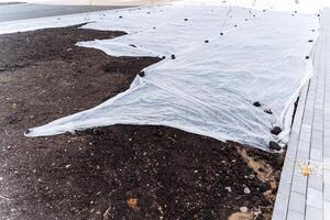 A large and substantial piece of lightweight plastic material is currently covering a considerable pile of dirt and soil that is positioned on the ground close by, awaiting removal or use photo