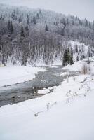 Imagine a beautiful river flowing gracefully through a snowy forest, where the trees are blanketed in a thick layer of soft, white snow, creating a serene winter wonderland atmosphere photo