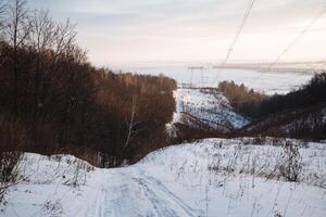 A picturesque snowy hillside adorned with tall trees and power lines stretched across the background, creating a serene winter landscape that embodies the beauty of the season photo