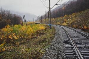 Railway track cutting through field with trees and grass, under a sky backdrop photo
