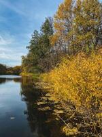 A magnificent lake that is beautifully surrounded by towering trees adorned with vibrant yellow leaves, all under a bright and sunny sky creating a perfect day to enjoy nature photo