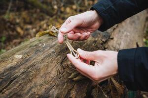 A person is firmly holding a solid piece of wood in both of their hands, displaying a grip that emphasizes the connection between them and this natural material from nature photo
