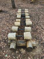 In the serene woods, a rustic wooden ladder constructed from sturdy logs can be found, perfectly blending with the natural surroundings and offering a glimpse into the tranquility of nature photo