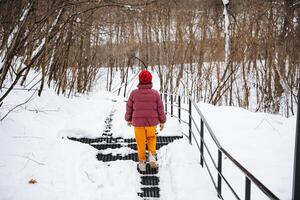 The serene winter scene depicts a person walking along a snowy path that is surrounded by tall trees, creating a peaceful atmosphere as snowflakes gently fall around them photo