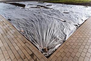 Exploring Contemporary Landscape Design Techniques Utilizing Plastic Sheeting in Combination with Attractive Paved Edging for Aesthetic Appeal photo